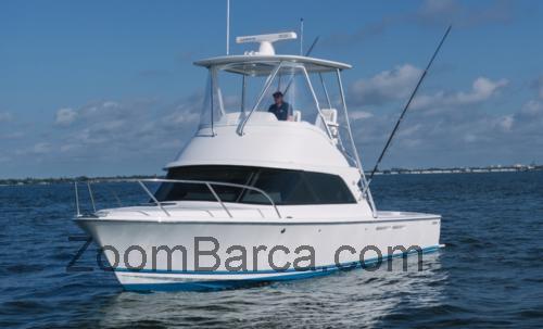 Bertram Yachts 35 scheda tecnica e recensioni